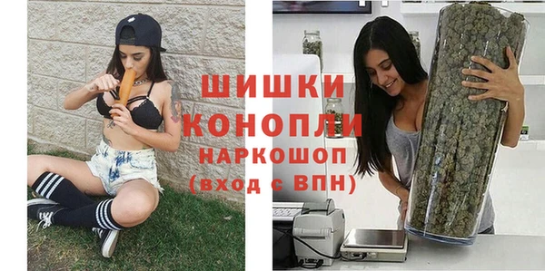 сатива Баксан