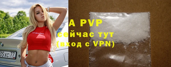 сатива Баксан