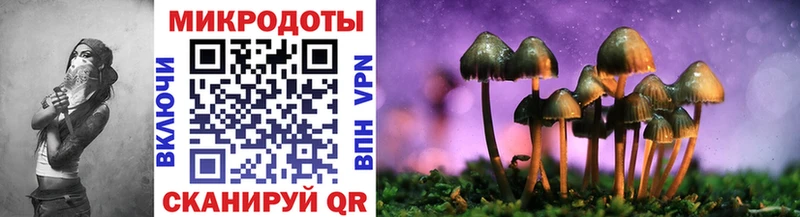 Галлюциногенные грибы мицелий  где продают   Котельниково 